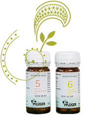 Ulrike Stadler Schüssler Salze