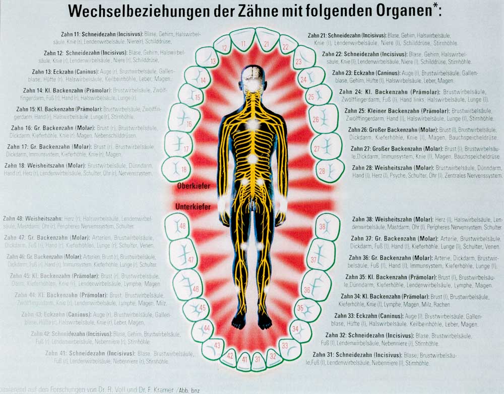 Naturheilkundliche Zahn-Organtestung
